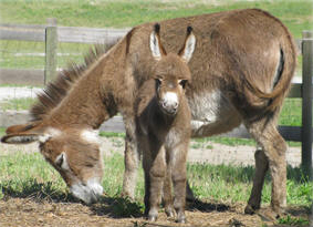 mom and baby